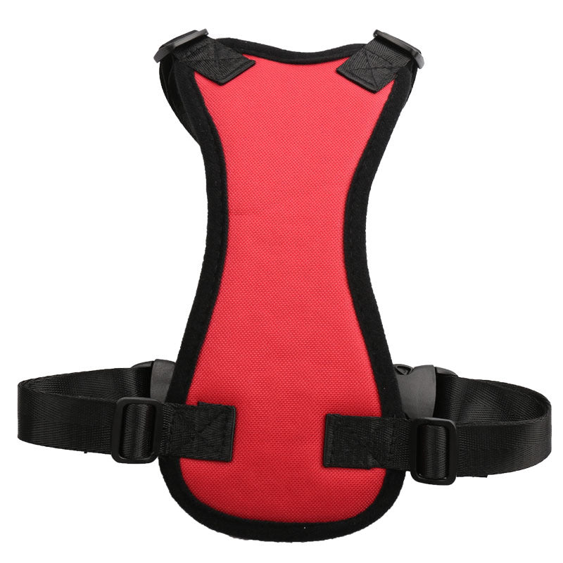Dog Car Seat Belt