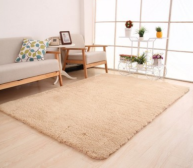 Fluffy Plain Room Carpet
