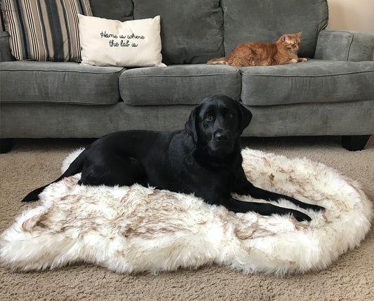 Soft Fluffy Mat
