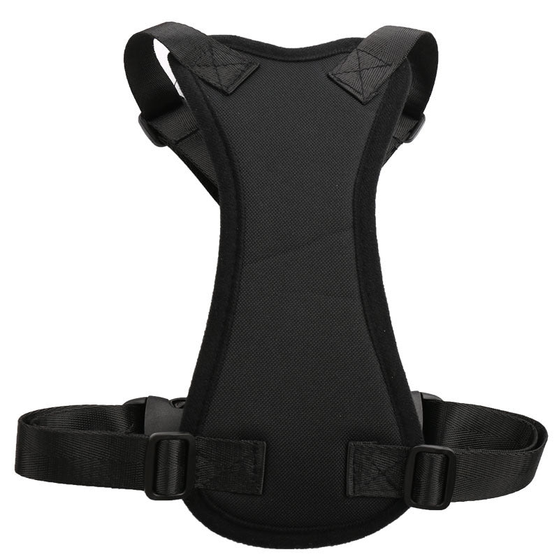 Dog Car Seat Belt 