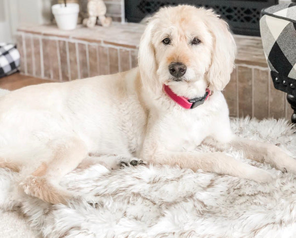 Soft Fluffy Mat